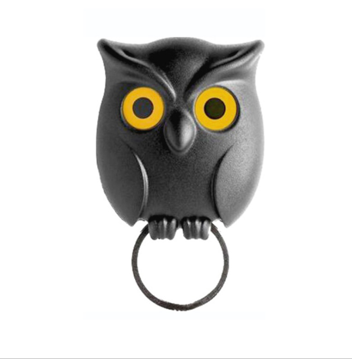 Night Owl Magnetic Key Holder