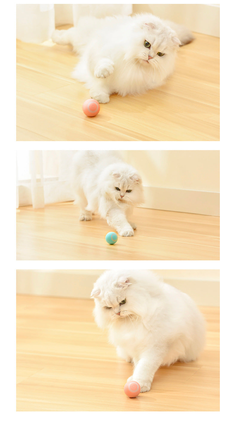 Smart Electric Cat Ball